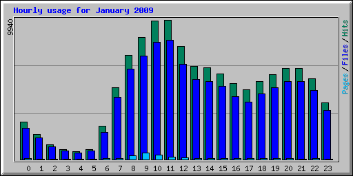 Hourly usage for January 2009